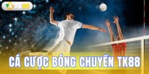 cá cược bóng chuyền